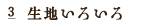 様々な絣の柄